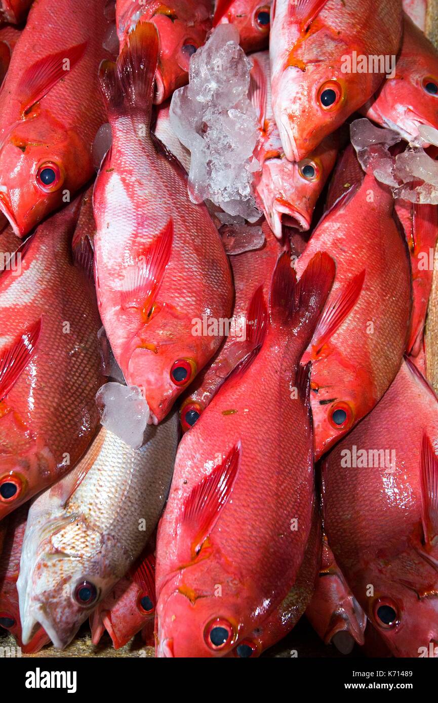 Indonesia, Bali, Jimbaran, fish red snapper Stock - Alamy