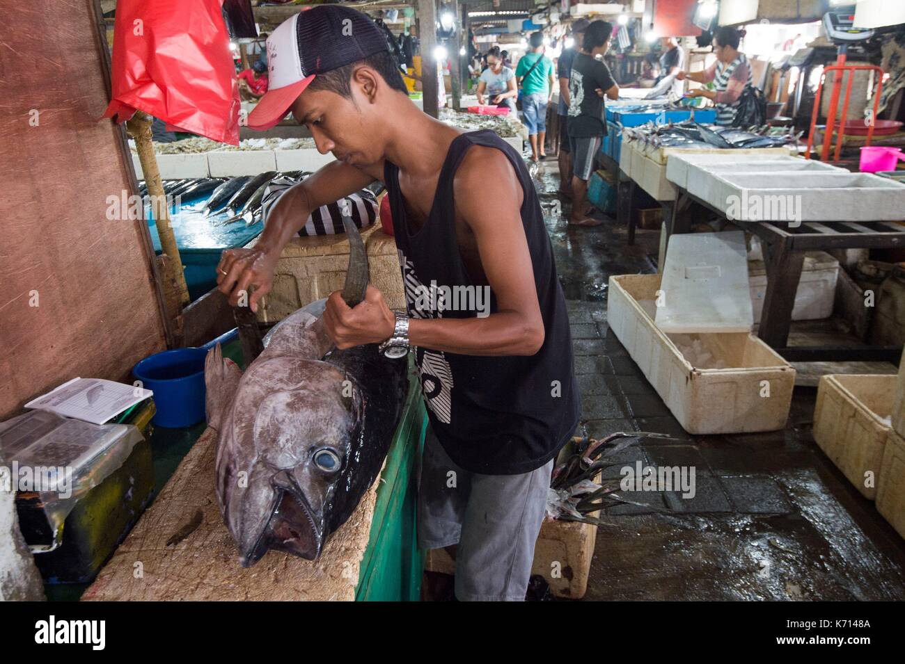 Indonesia, Bali, Jimbaran, fish market, tuna Stock Photo Alamy