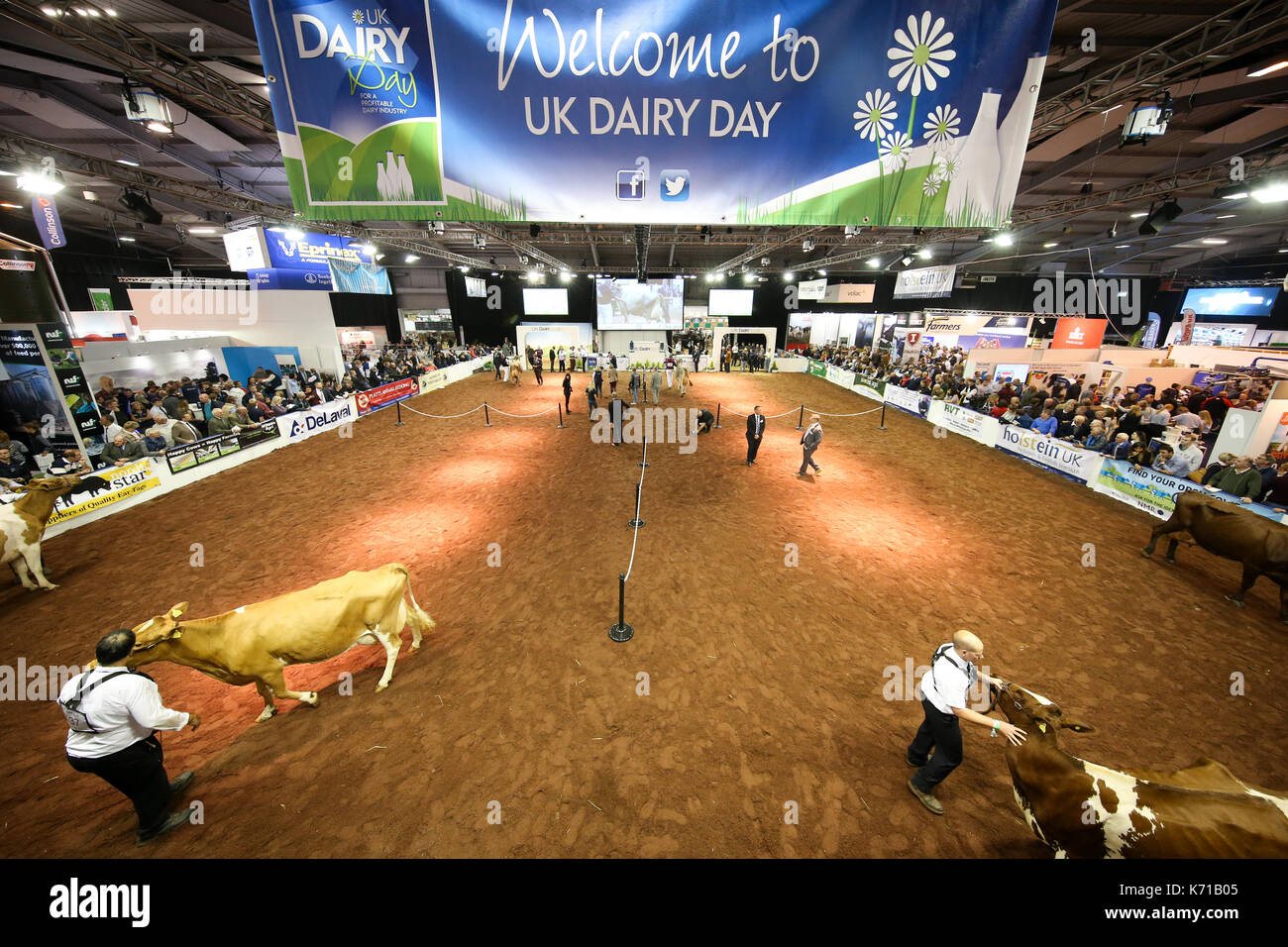 Telford,UK. 13th September, 2017.UK Dairy Day is a dedicated annual one