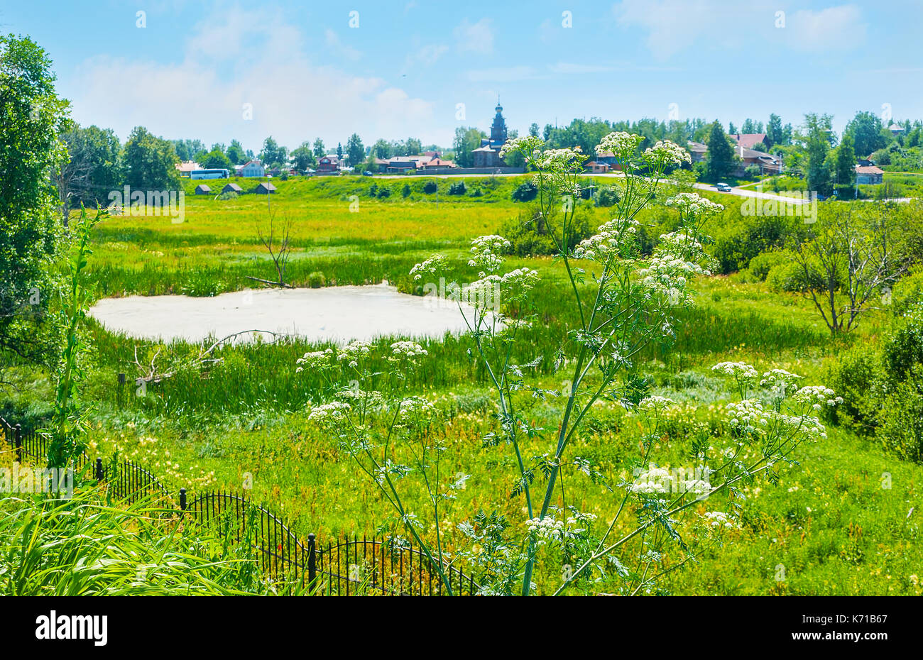 Ilinskiy meadow with a small swamp, lush greenery and poison hemlock on the foreground, the view from historic shaft of Suzdal Kremlin, Russia. Stock Photo
