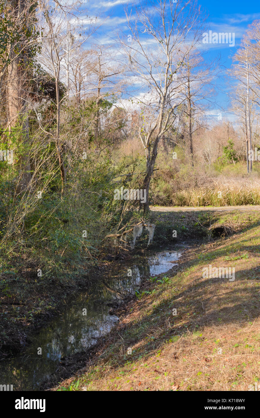 Walking path in North Carolina Stock Photo