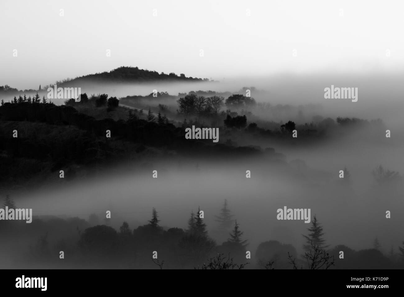 Hills and trees emerging from a valley filled by fog Stock Photo