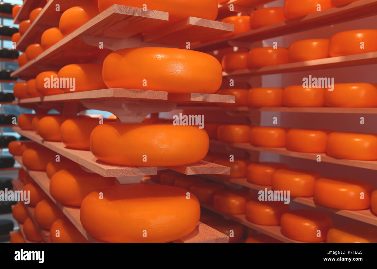 many typical cheeses from Holland for sale in the Cheese Shop Stock