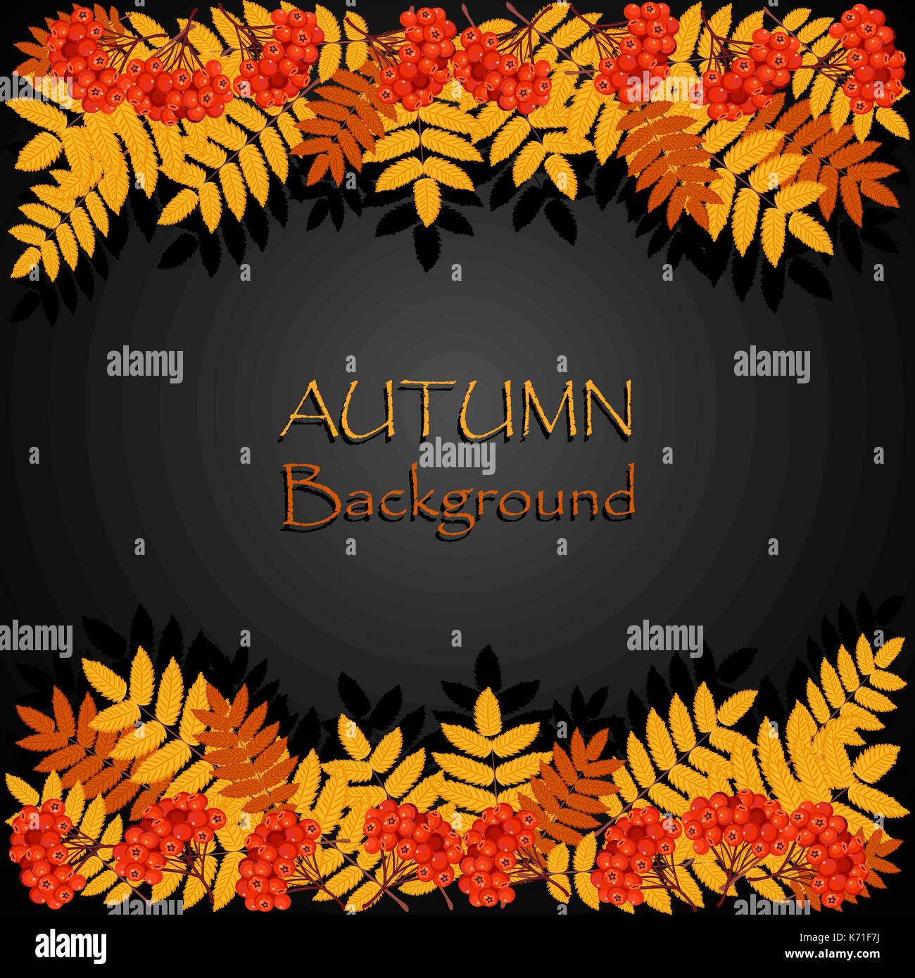 Autumn background with rowan Stock Vector