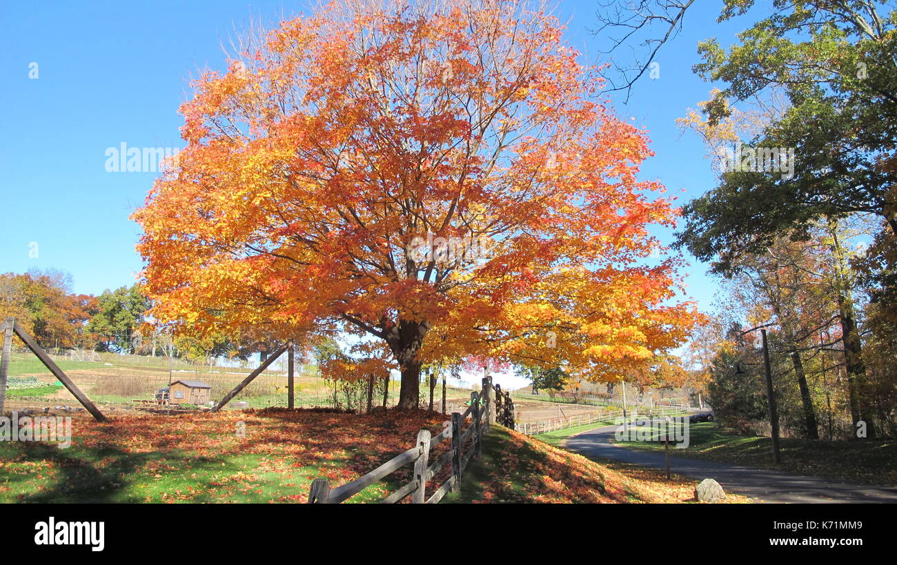 Westchester Singles groups in White Plains - Meetup