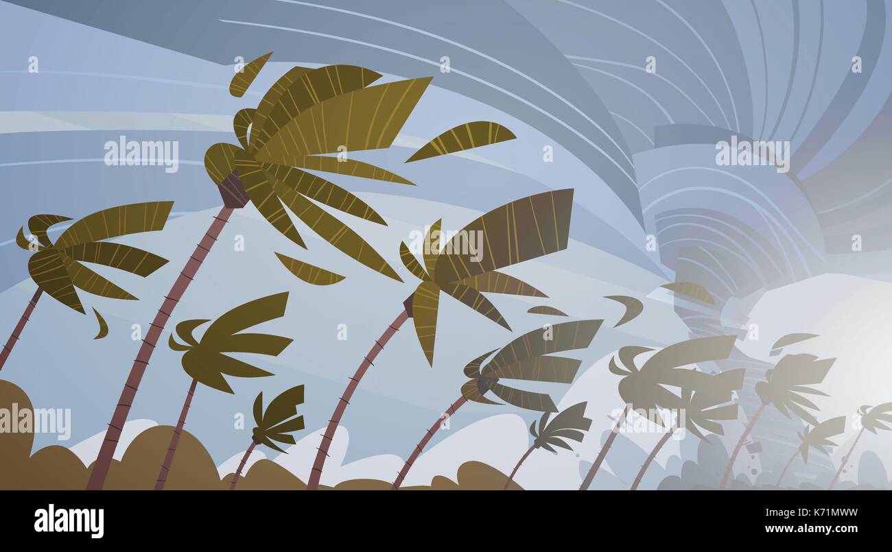 Swirling Tornado In Sky Over Palm Trees Hurricane Huge Wind Storm Tropical Natural Disaster Concept Stock Vector