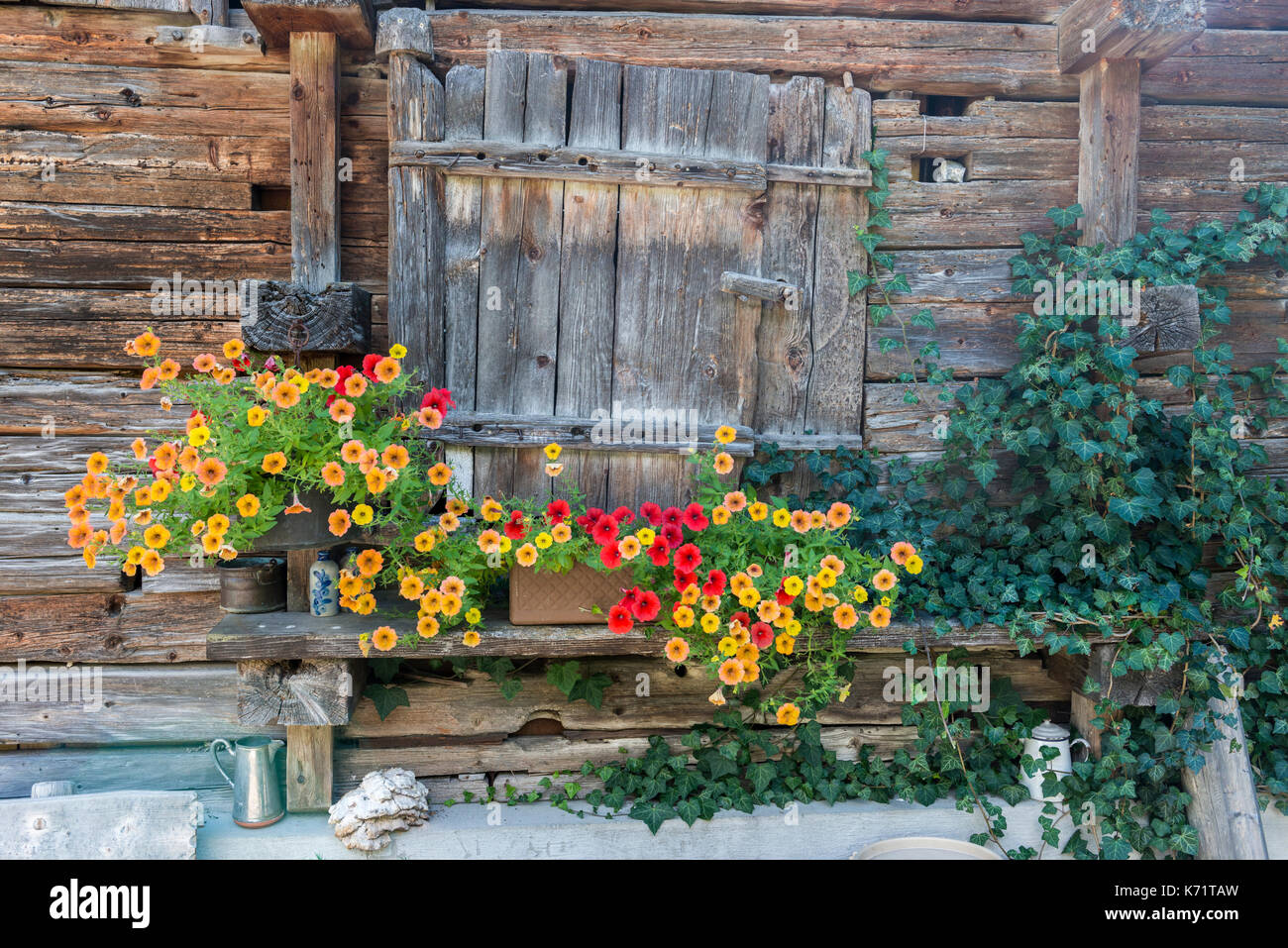 Closed window with flower pots, traditional wooden house, Grindelwald, Switzerland Stock Photo