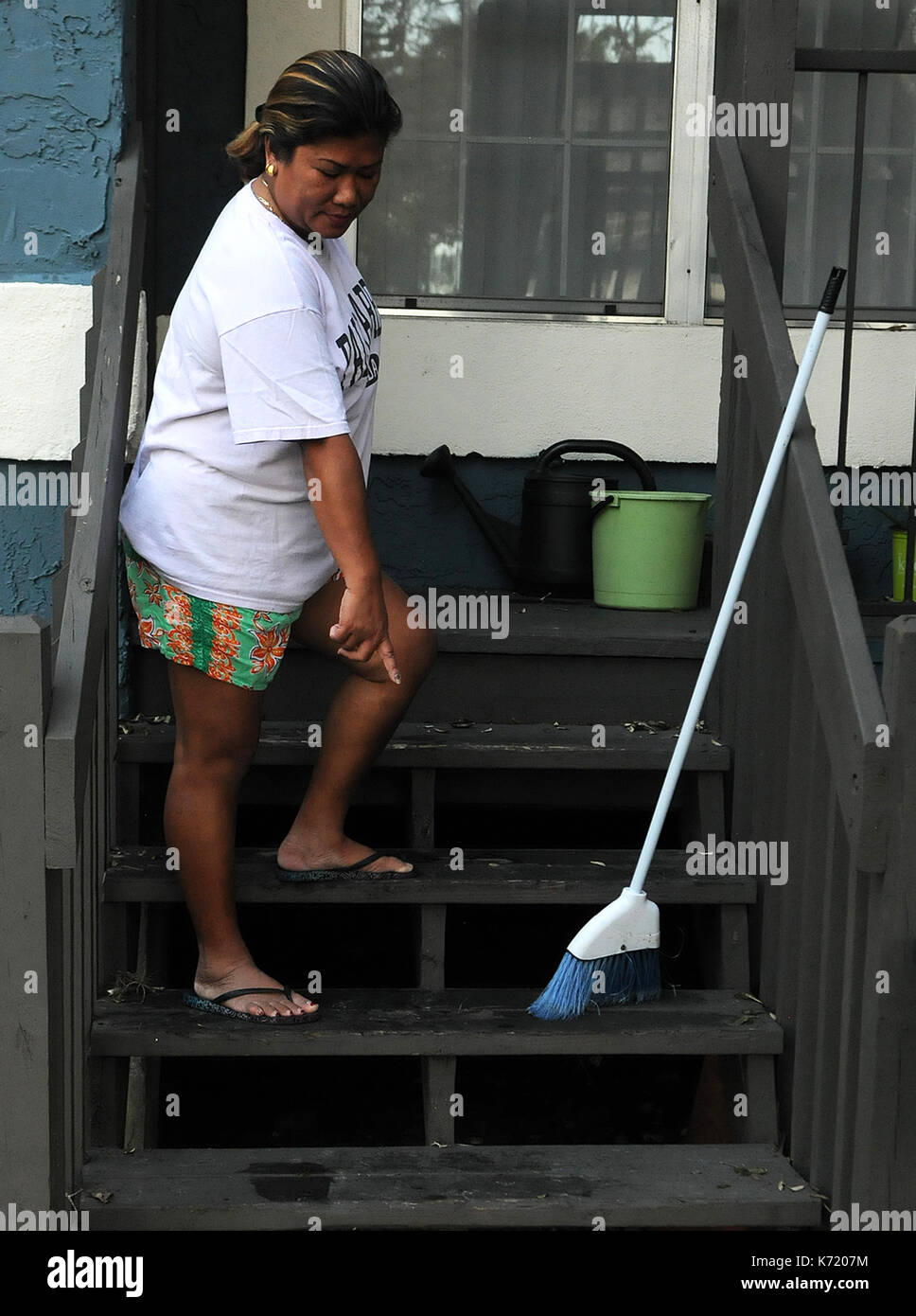 Flood waters florida hires stock photography and images Alamy