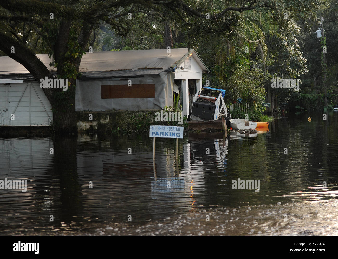 Elfers, United States. 13th Sep, 2017. September 13, 2017- Elfers, Florida, United States - The All Pets Hospital parking lot is seen flooded by water from the nearby Anclote River in Elfers, Florida on September 13, 2017. The river rose to four feet above flood stage in the aftermath of Hurricane Irma. Credit: Paul Hennessy/Alamy Live News Stock Photo