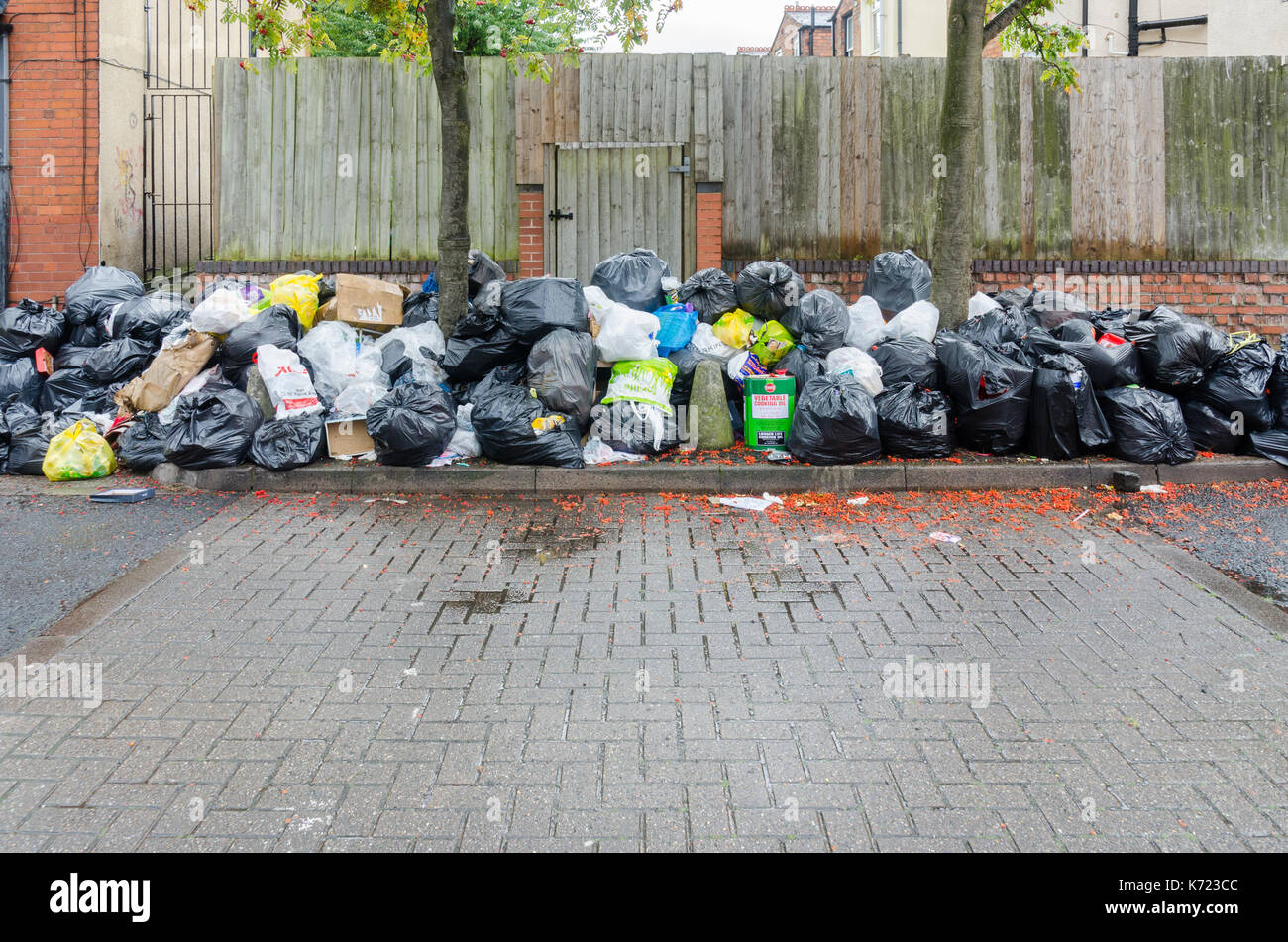 Sparkhill, Birmingham, UK. 14th September 2017. As the long running dispute between refuse collectors and Birmingham City Council shows no sign of ending piles of rubbish continue to grow on the streets.Credit: Nick Maslen/Alamy Live News Stock Photo