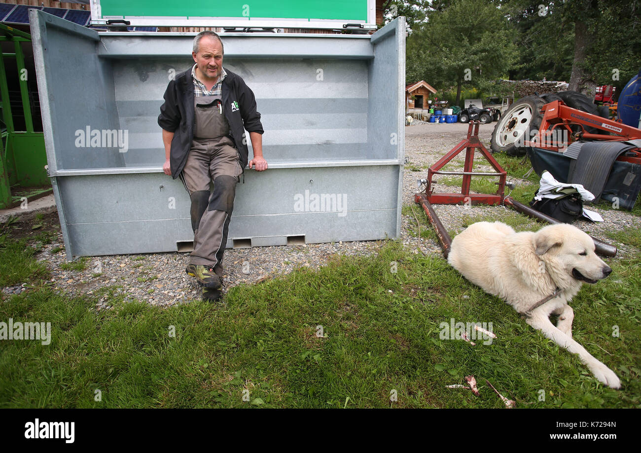 Missen, Germany. 21st Aug, 2017. Farmer Herbert Siegel sits on his mobile slaughtering station (German: 'Mobile Schlacht Box' or 'mobile slaugher box') in Missen, Germany, 21 August 2017. The station allows Siegel to slaughter his cows in the meadows in which they graze, thus sparing them the stressful journey to the slaugher house. Siegel is one of the few farmers to use such a device in Germany. Photo: Karl-Josef Hildenbrand/dpa/Alamy Live News Stock Photo