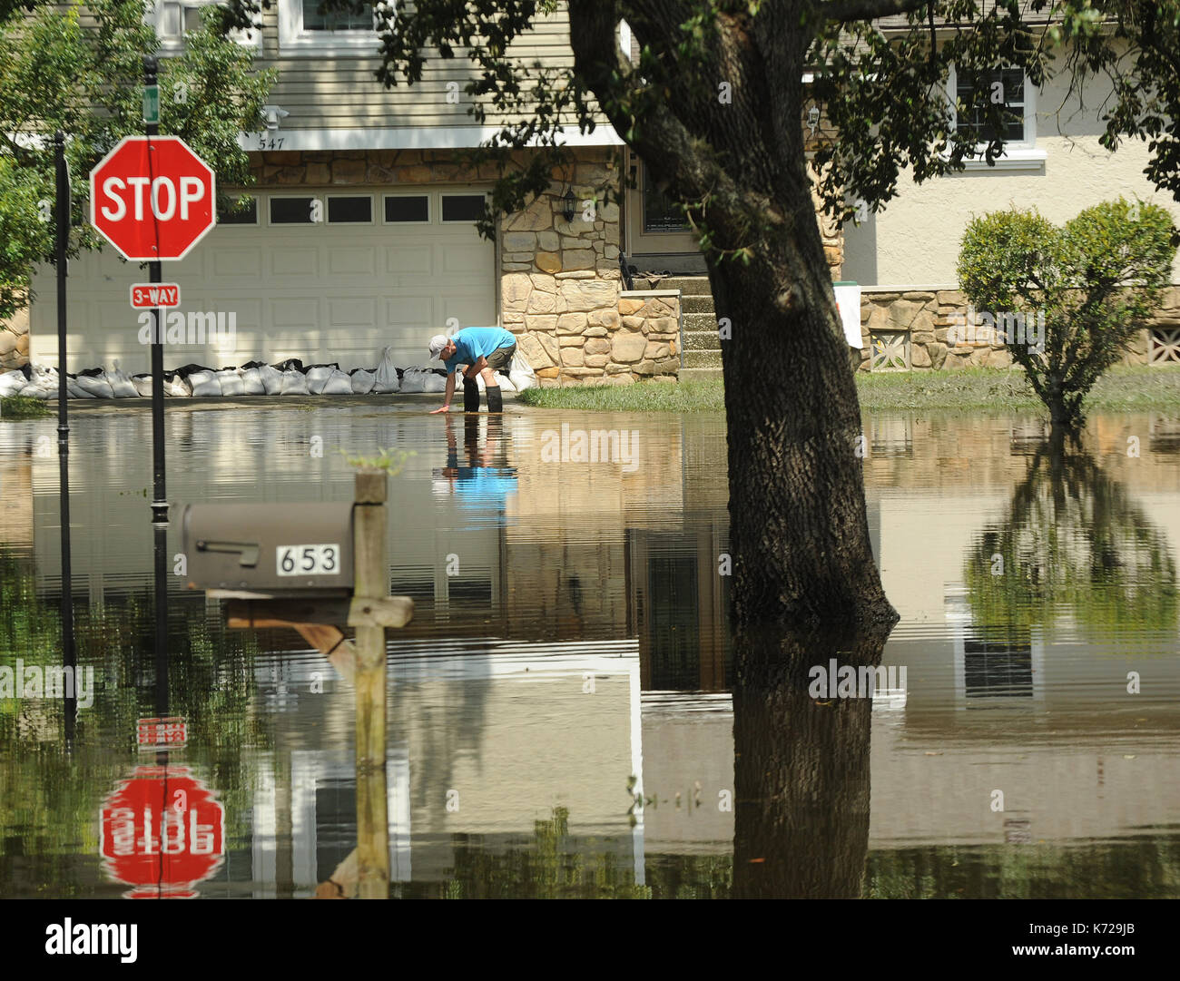 Stop Sign Flood Waters High Resolution Stock Photography and Images - Alamy