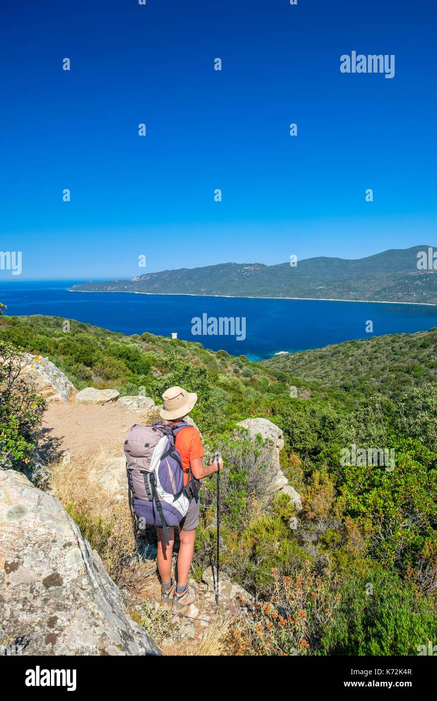 France, Corse-du Sud (2A), Taravo region, Mare e Monti Sud hiking trail, between Porto Pollo and Coti-Chiavari, Cupabia bay Stock Photo