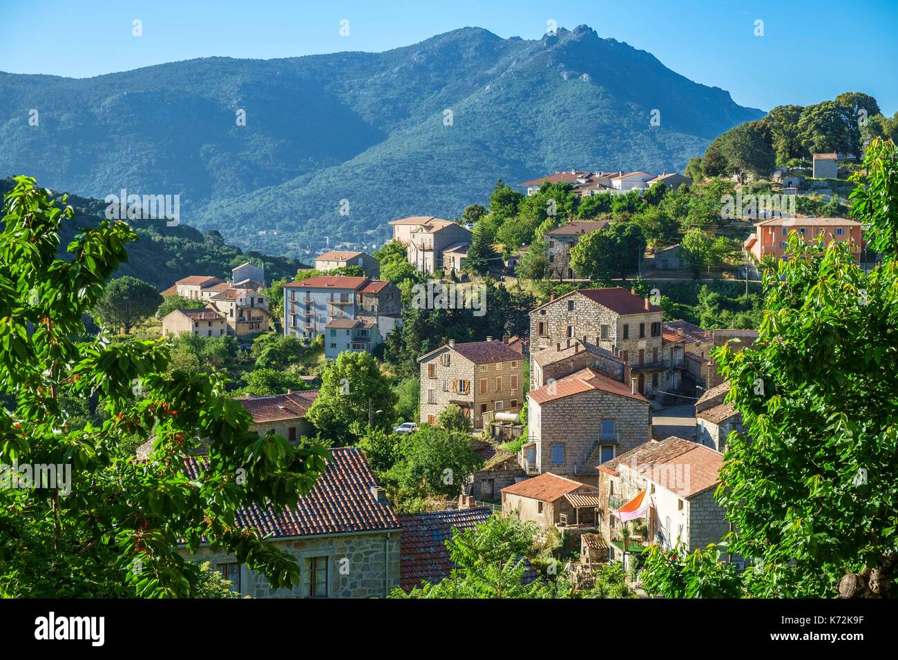 France, Corse-du Sud (2A), Alta Rocca region, Mare a Mare Sud hiking trail, stop at Levie village Stock Photo