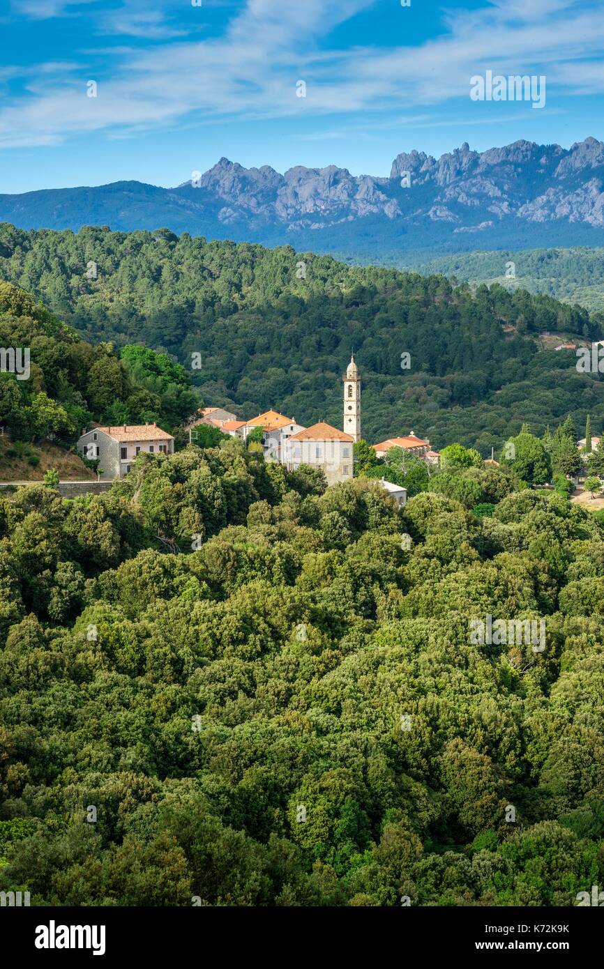 France, Corse-du Sud (2A), Alta Rocca region, Mare a Mare Sud hiking trail, stop at Levie village Stock Photo