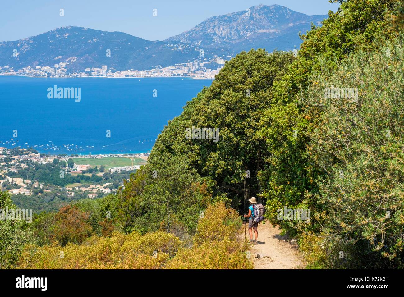 France, Corse-du Sud (2A), Taravo region, Mare e Monti Sud hiking trail, between Bisinao and Porticcio, the Gulf of Ajaccio Stock Photo