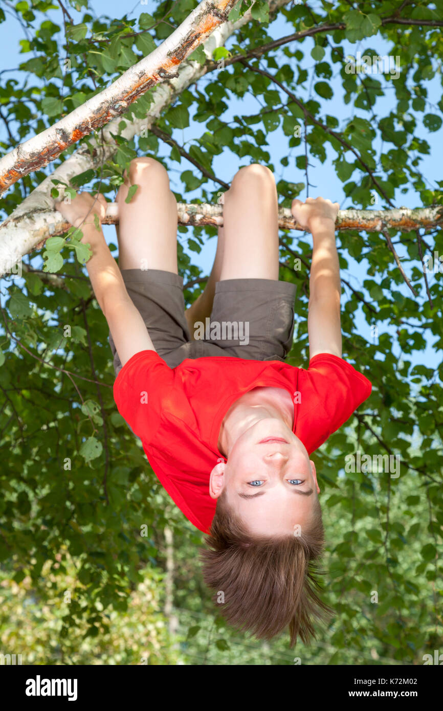 Low angle view of happy teenager boy wearing red t-shirt hanging upside down from a birch tree looking at camera smiling enjoying summertime Stock Photo