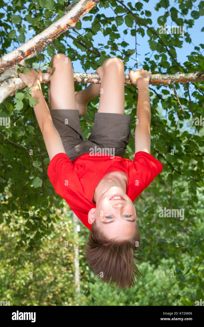Low angle view of happy teenager boy wearing red t-shirt hanging upside down from a birch tree looking at camera smiling enjoying summertime Stock Photo