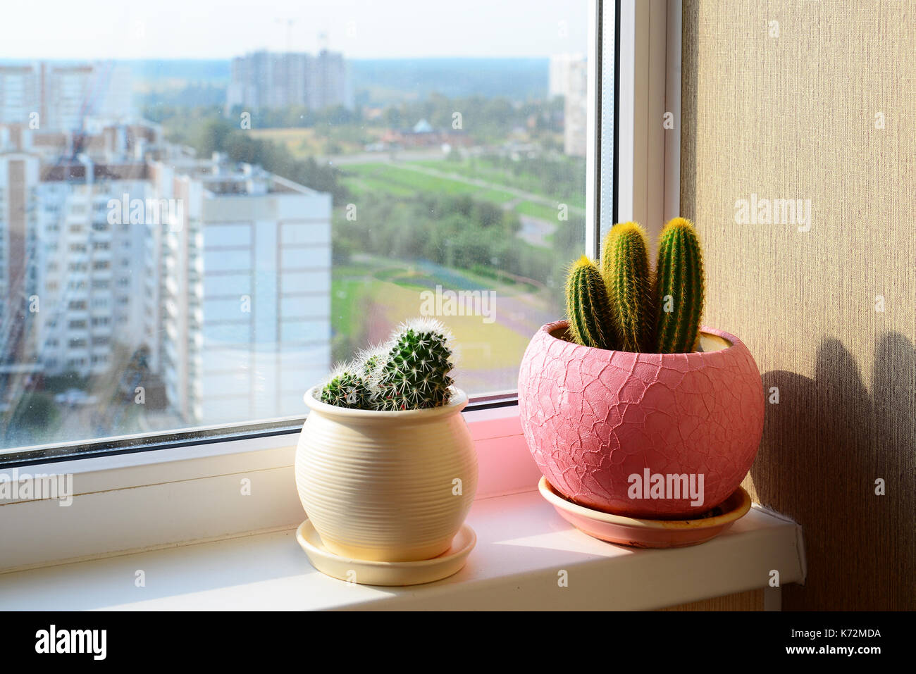 Two cactuses stand on windowsill Stock Photo