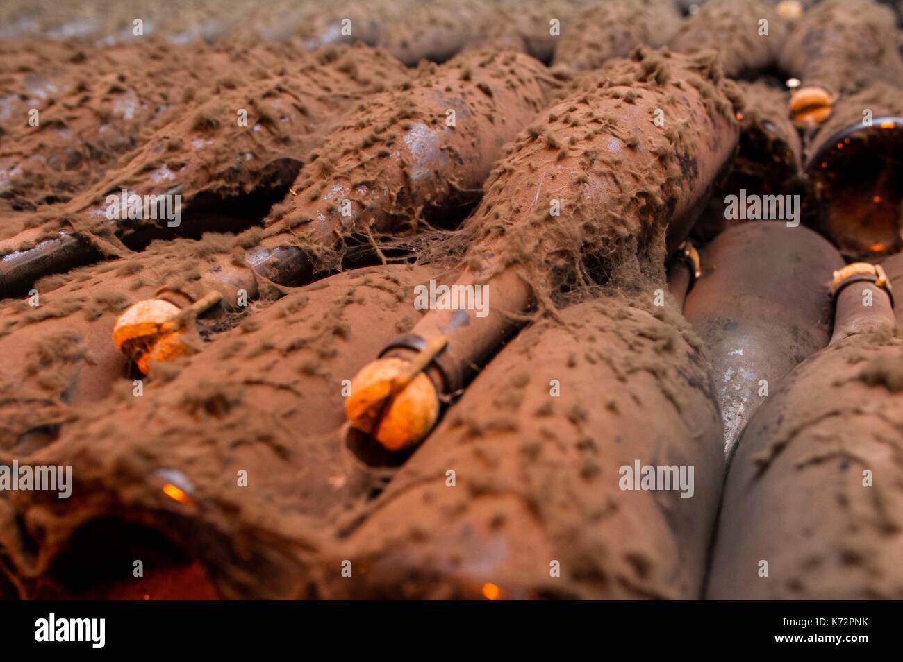 France, Marne, Ay, dusty old bottles and cave of Bollinger champagne Stock Photo
