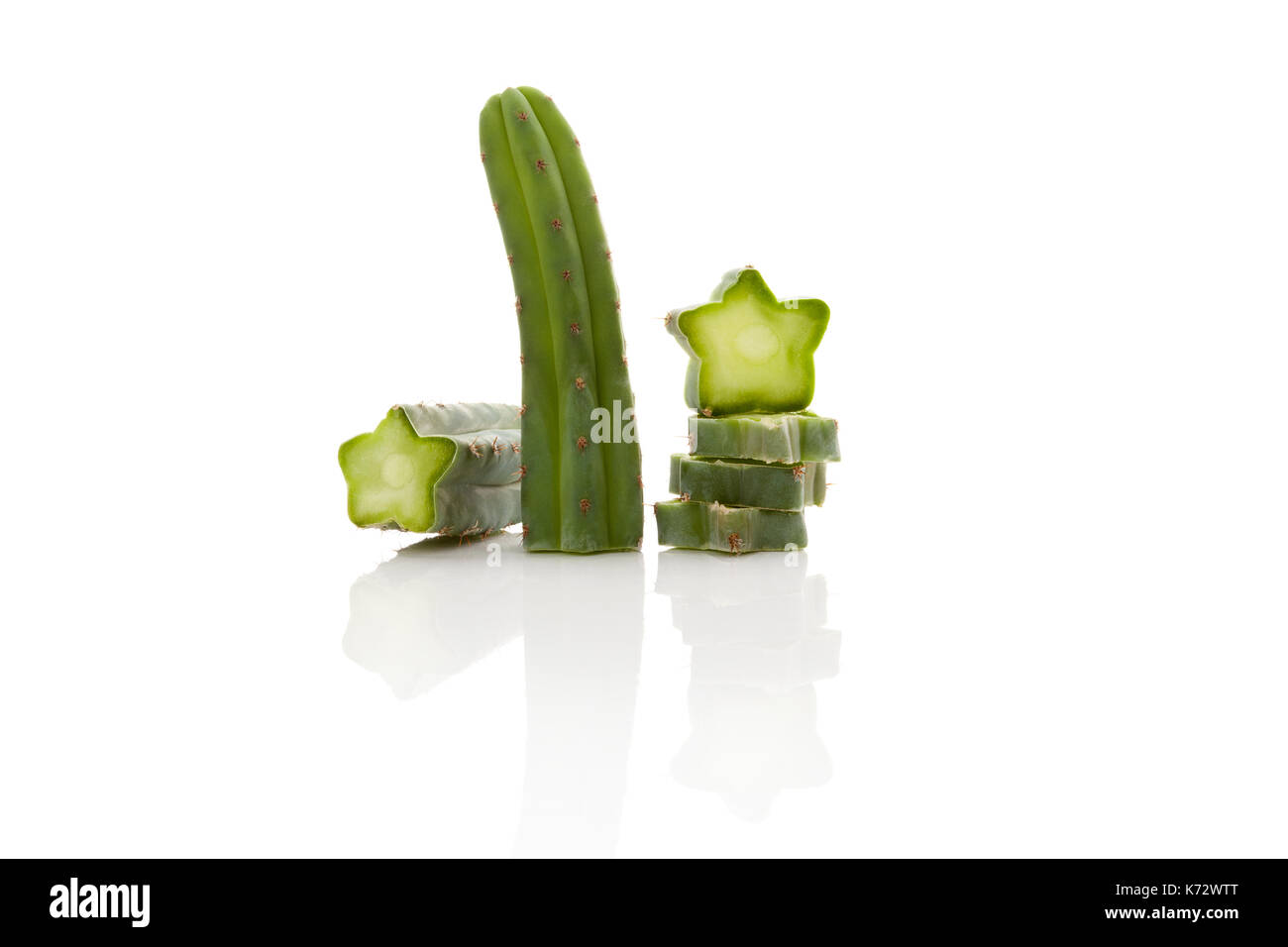San Pedro cactus cuttings isolated on white background. Traditional  medicine. Echinopsis pachanoi or Trichocereus pachanoi Stock Photo - Alamy