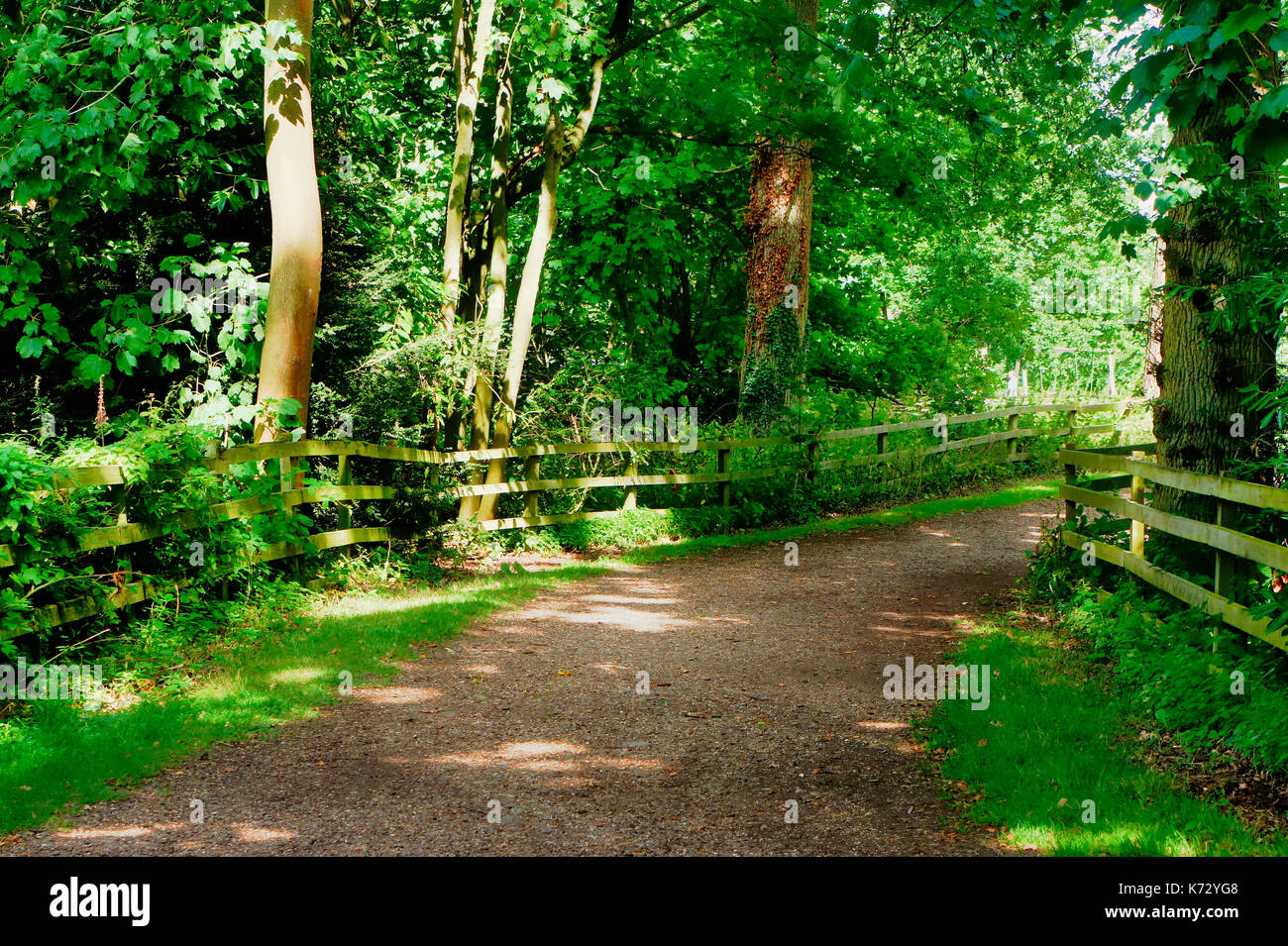 Woodland route hi-res stock photography and images - Alamy