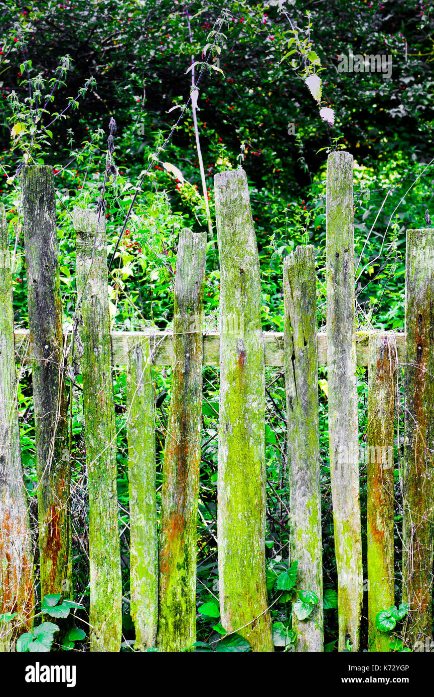 Part of an old picket fence Stock Photo