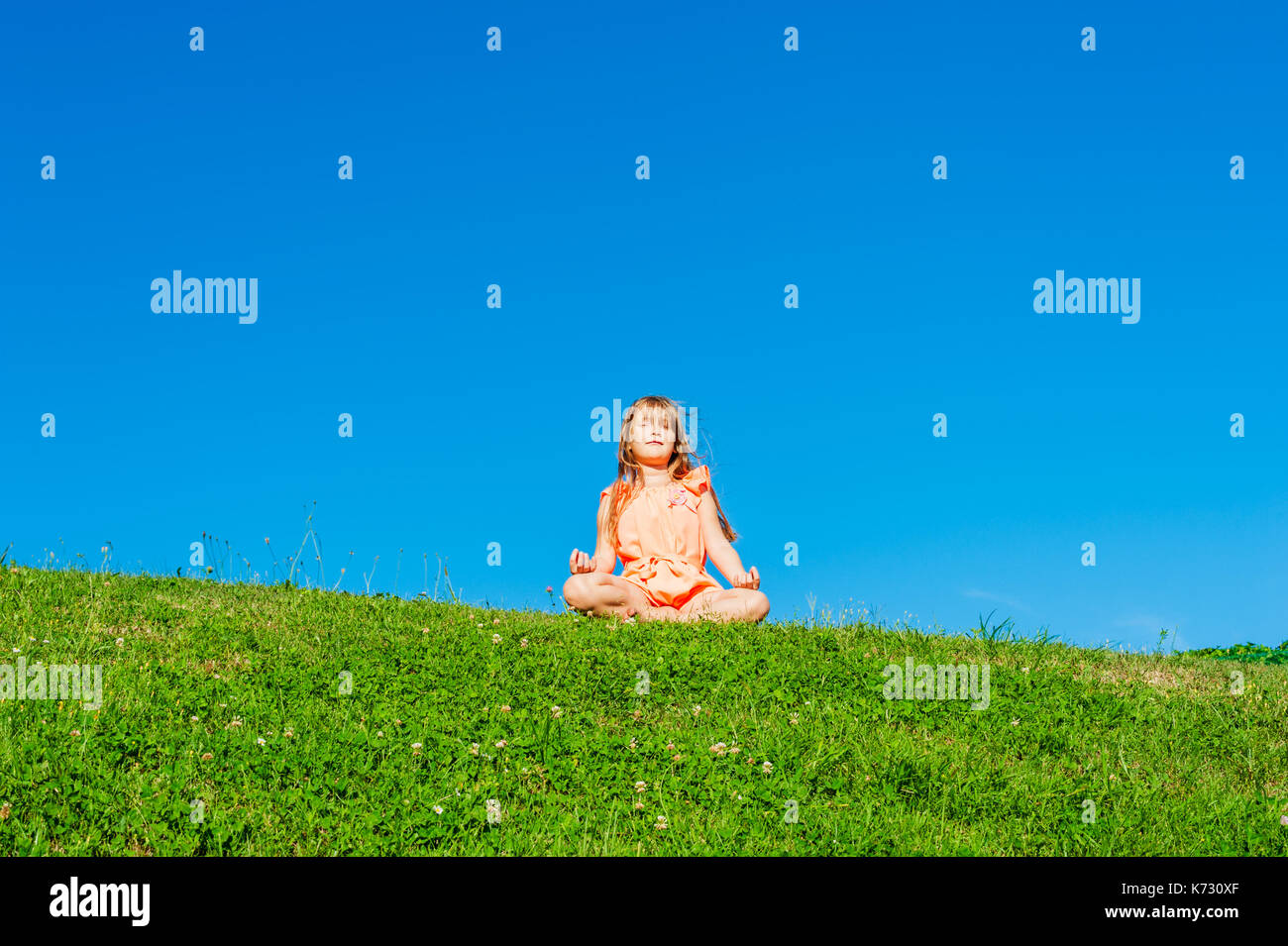Summer portrait of a beautiful little girl sitting on grass, wearing ...