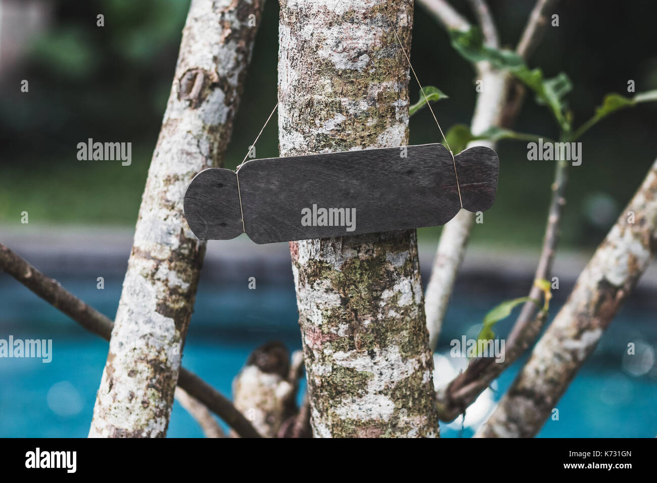 Empty wooden nameplate on tree. Vintage textured style and place for text, sign or logo. Eco and natural Stock Photo