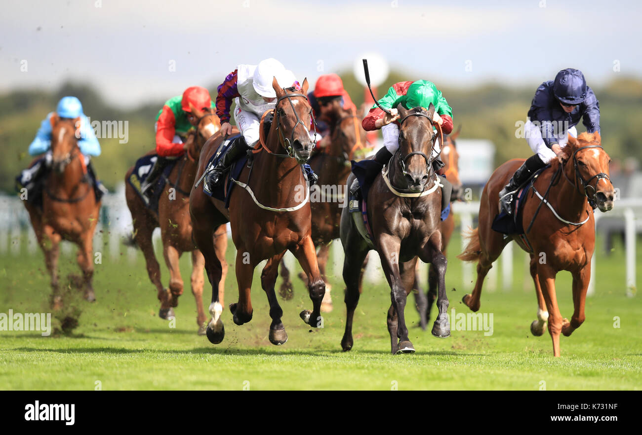 Laurens (centre left) ridden by P.J. McDonald wins the William Hill May Hill Stakes race during day two of the William Hill St. Leger Festival at Doncaster Racecourse. Stock Photo