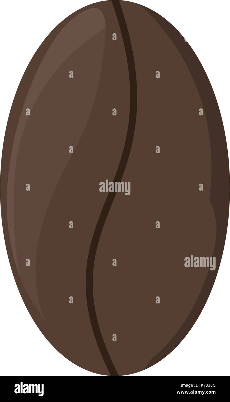 coffee bean icon over white background colorful design vector ...