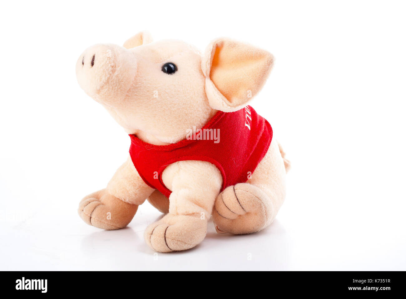 year of the pig toy