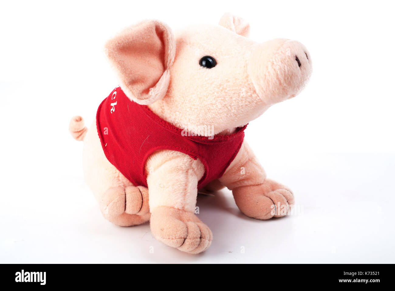 year of the pig toy