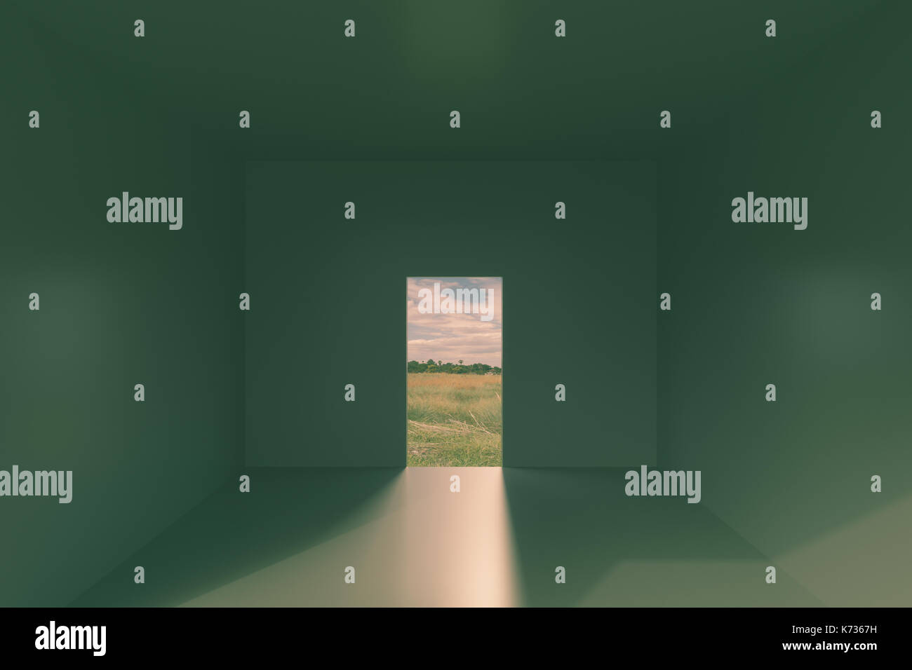 3d rendering of empty room with a door Stock Photo