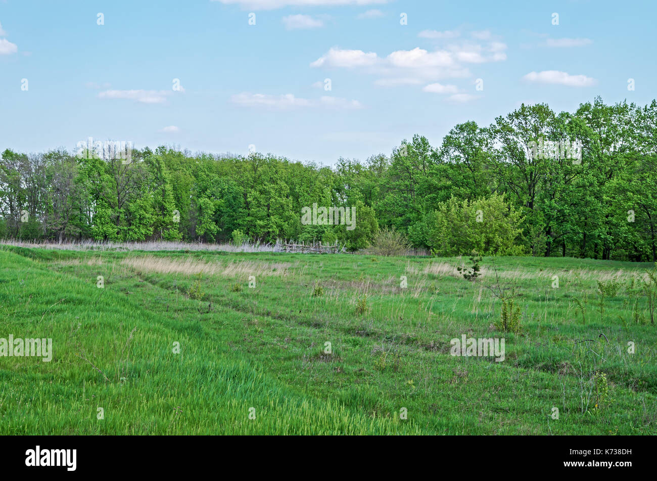 the-long-ago-abandoned-agricultural-land-on-which-once-there-was-a