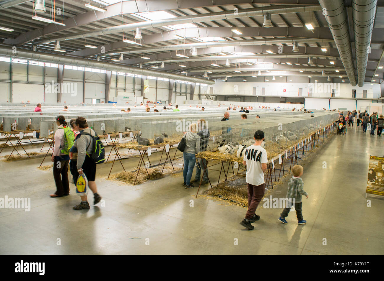 National exhibition of young rabbits,poultry and pigeons 2017 (Animal ...