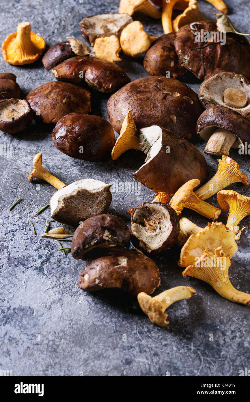 Porcini boletus and chanterelles mushrooms Stock Photo Alamy