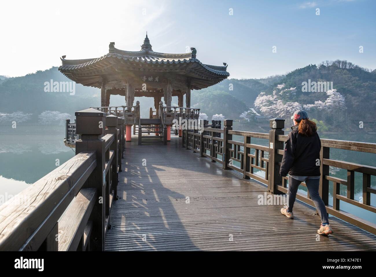 South Korea, North Gyeongsang province, Andong, Wolyeonggyo pedestrian wooden bridge over South Korea, North Gyeongsang province, Andong, Wolyeonggyo pedestrian wooden bridge over