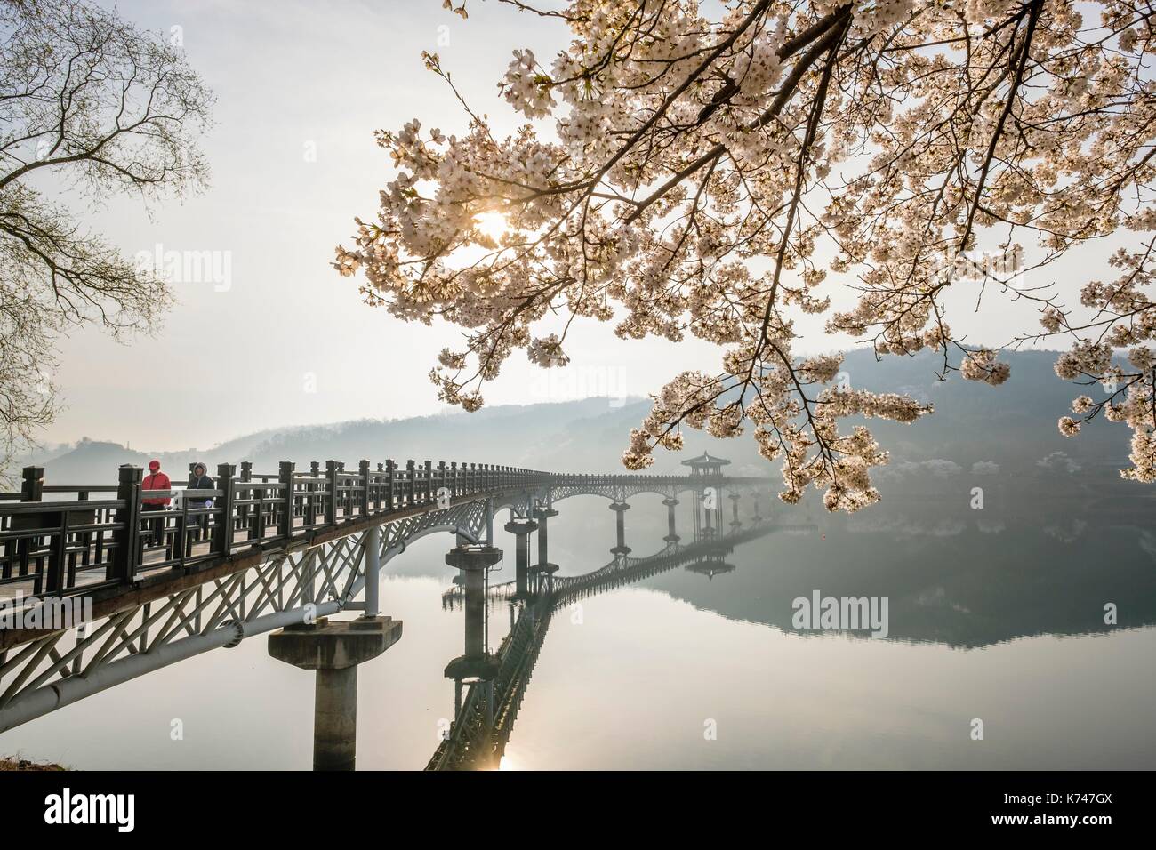 South Korea, North Gyeongsang province, Andong, Wolyeonggyo pedestrian wooden bridge over South Korea, North Gyeongsang province, Andong, Wolyeonggyo pedestrian wooden bridge over