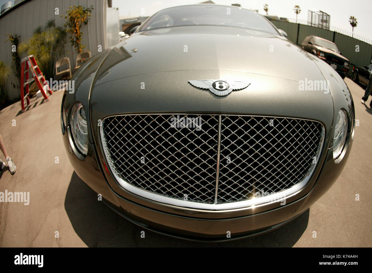 Flame hotsell grill bentley