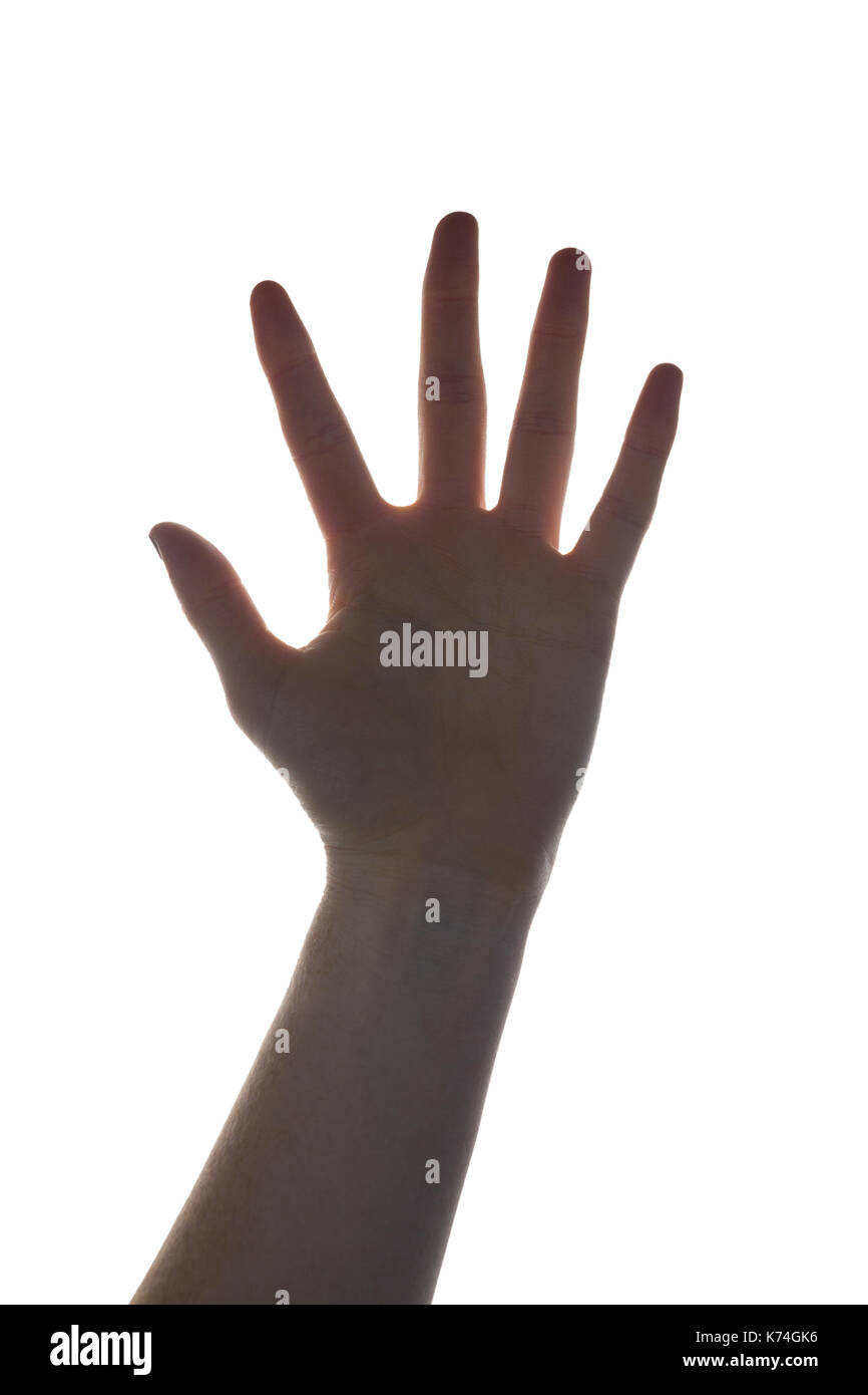 Woman holding up hand stop hi-res stock photography and images - Alamy