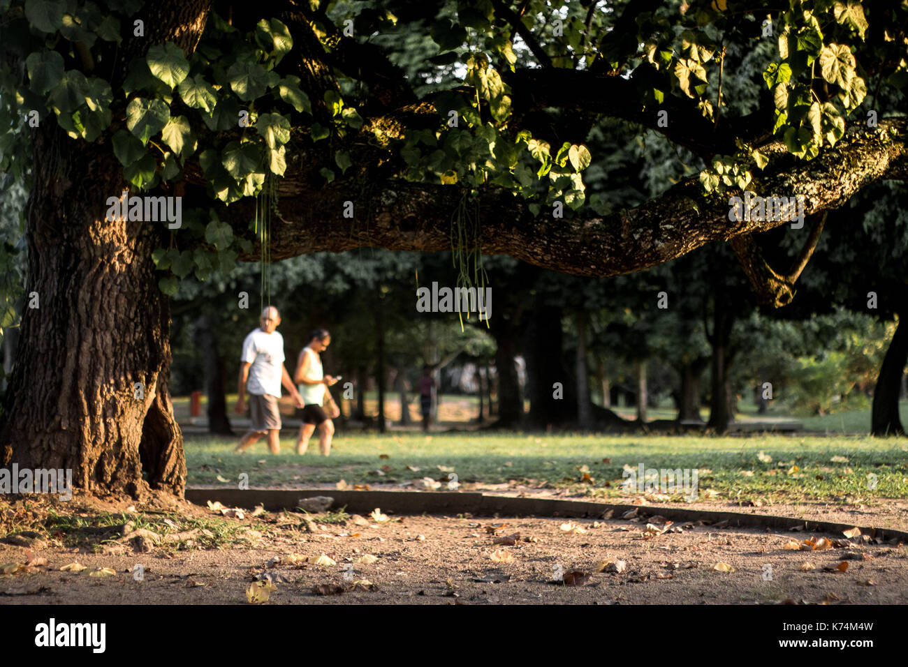 couple walking in the park under the trees in a sunny morning in Brazil, Rio de Janeiro Stock Photo