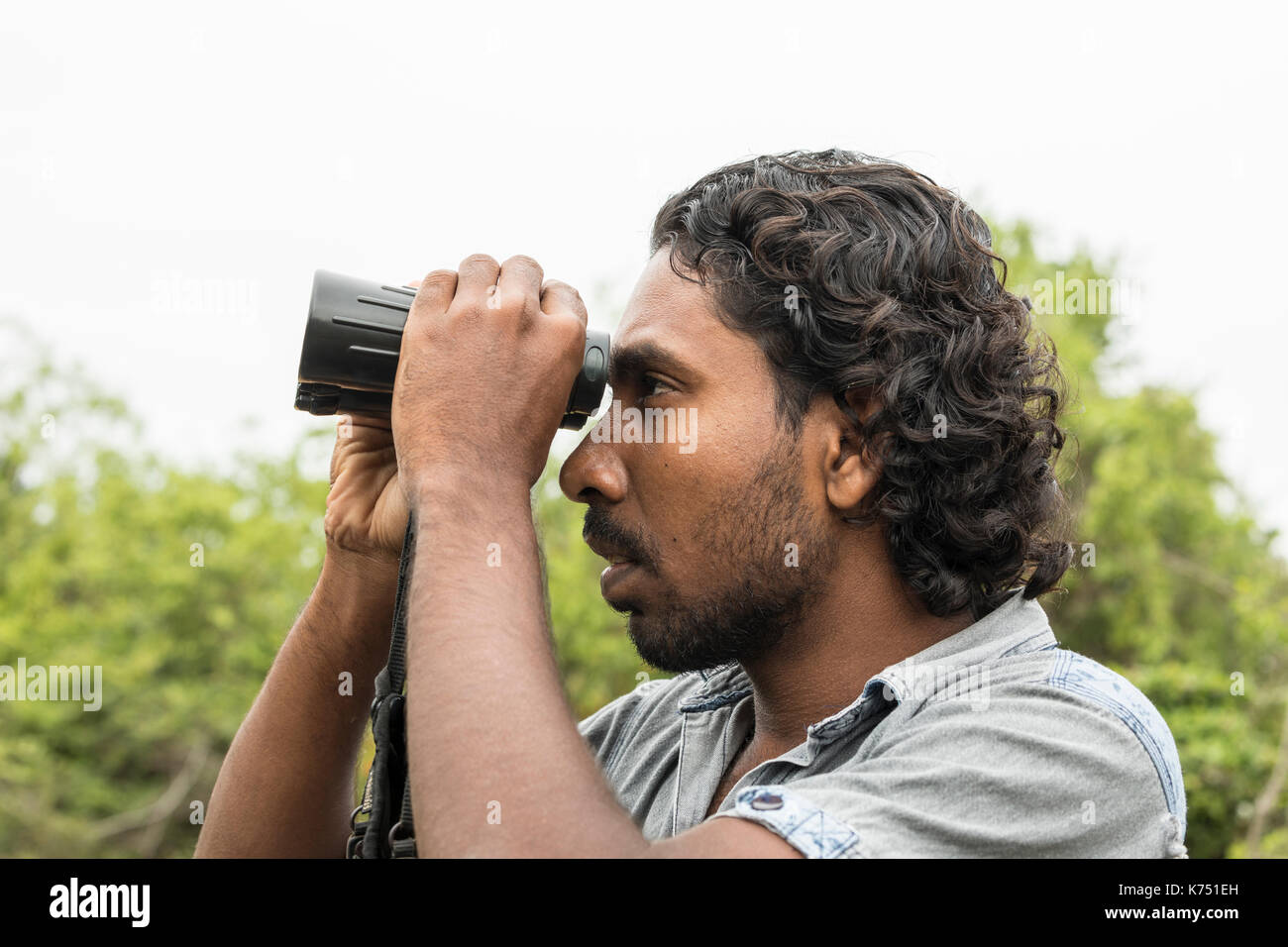 TISSAMAHARAMA, SRI LANKA. February 20th, 2017 Safari guide looks out
