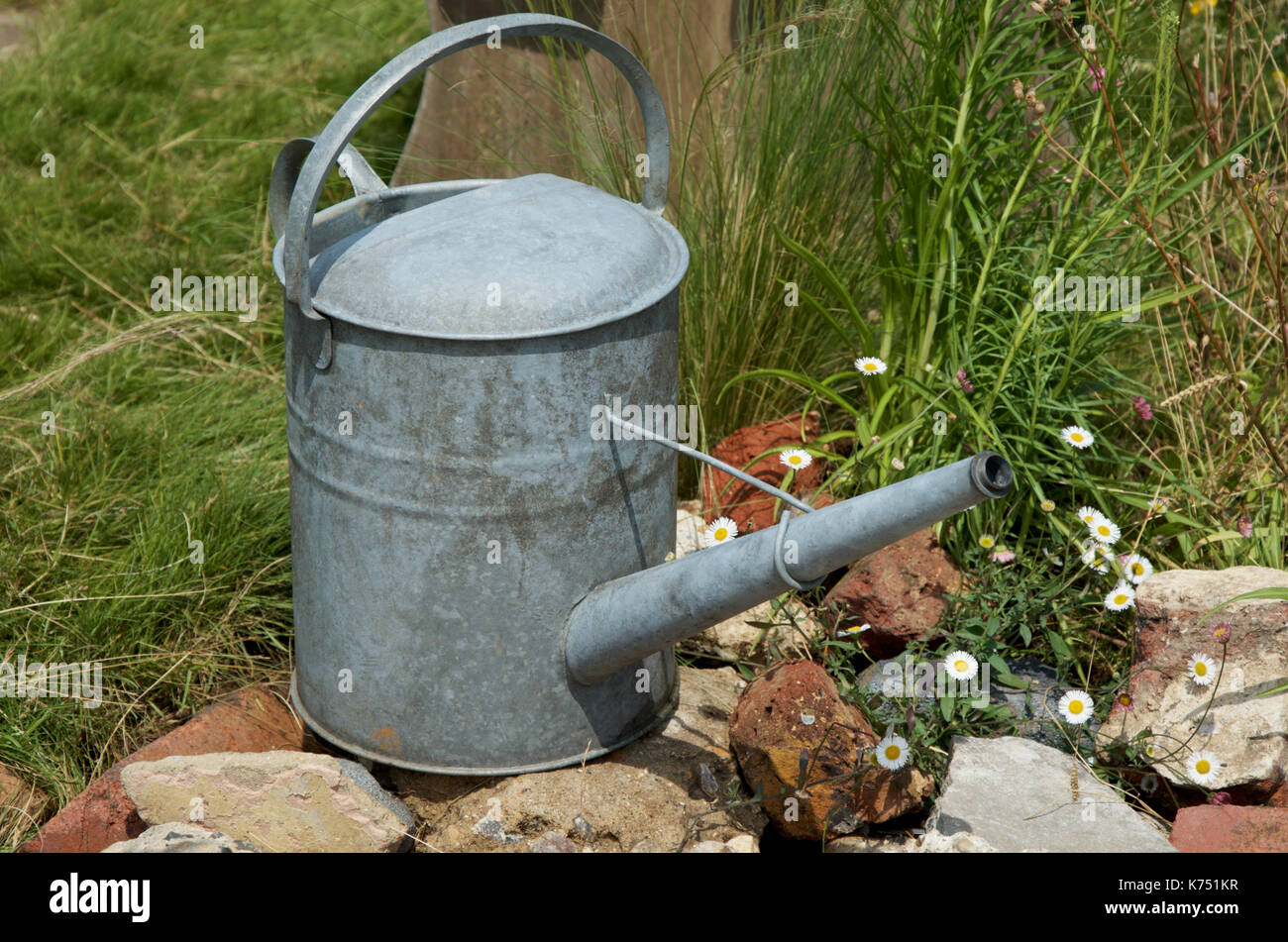 Traditional galvanised aluminium watering can without a rose on a pile of rubble in a wildlife garden. Stock Photo