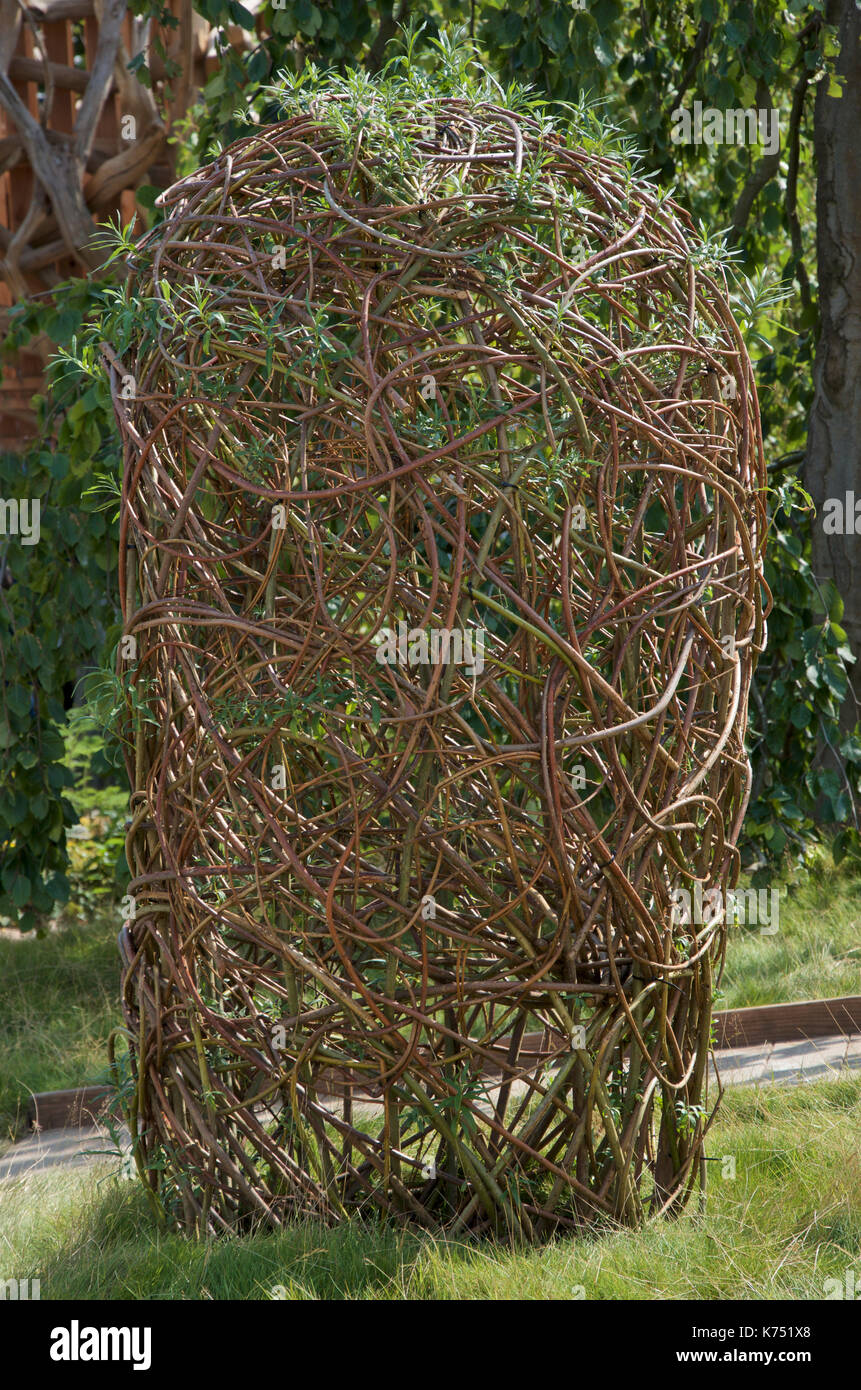 The Living Willow Structure  in The Zoflora and Caudwell Children's Wild Garden at RHS Hampton Court Palace Flower Show 2017. Stock Photo