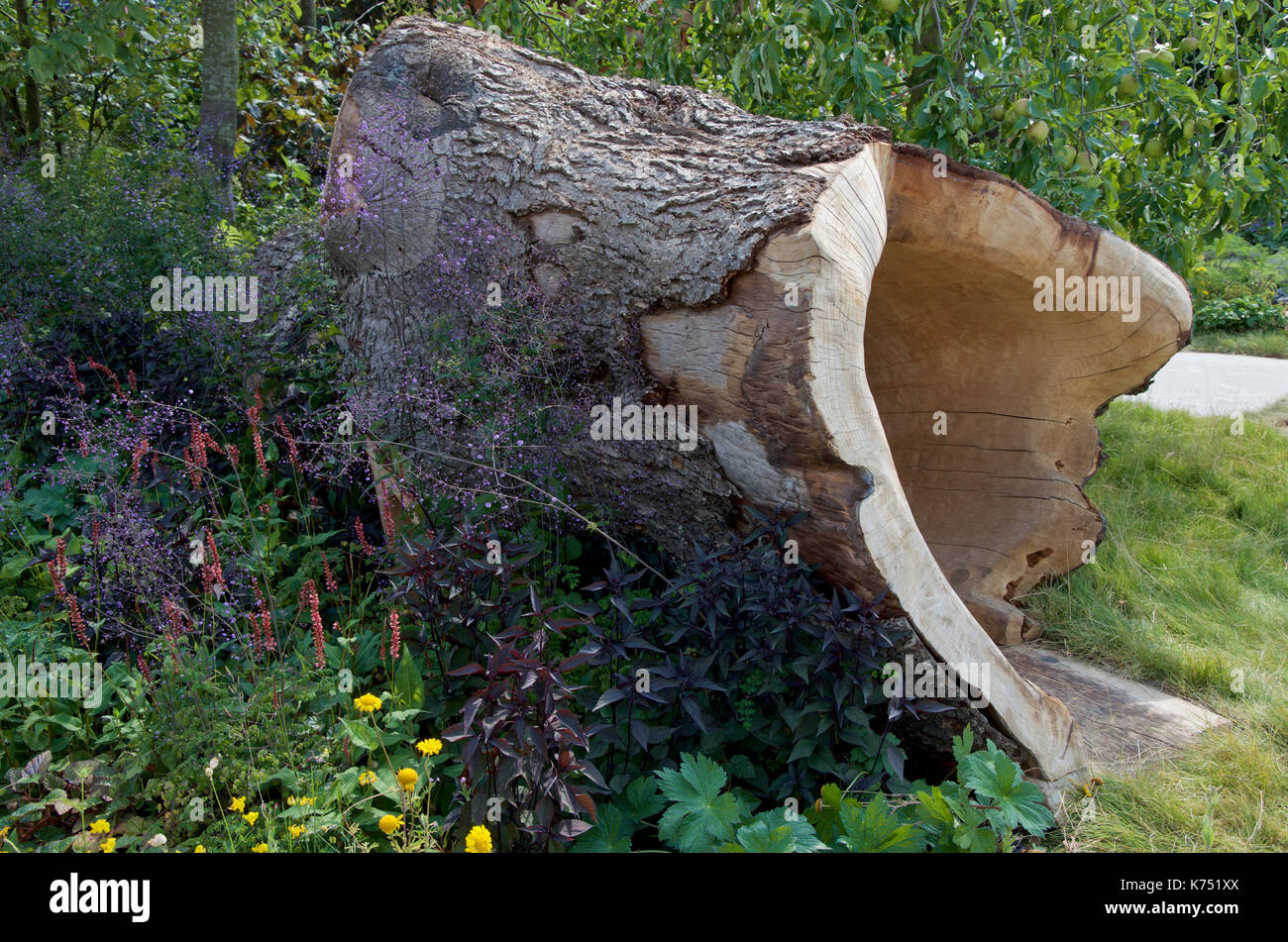 The Hollow Log in The Zoflora and Caudwell Children's Wild Garden at RHS Hampton Court Palace Flower Show 2017. The garden designed by Adam White and  Stock Photo