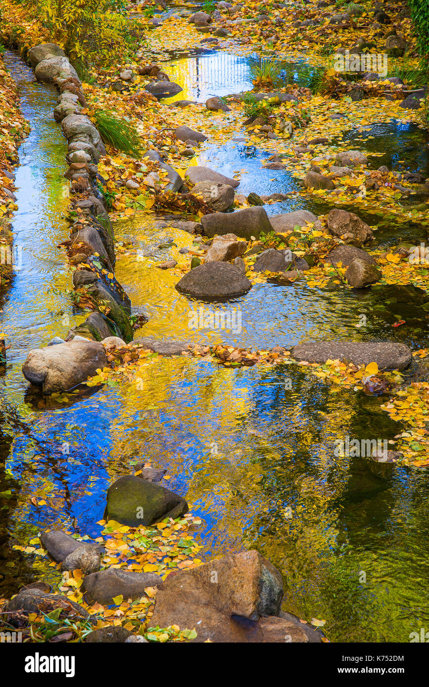 River in Autumn. Stock Photo