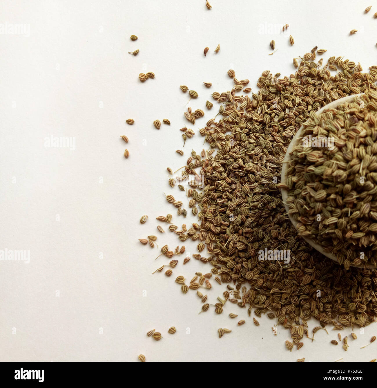 Celery seeds Stock Photo Alamy