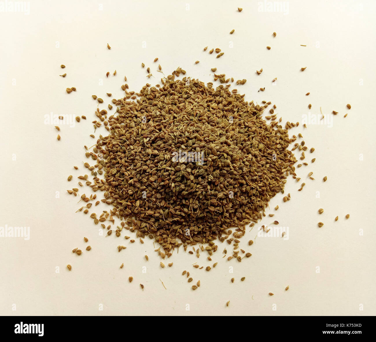 Indian celery hires stock photography and images Alamy