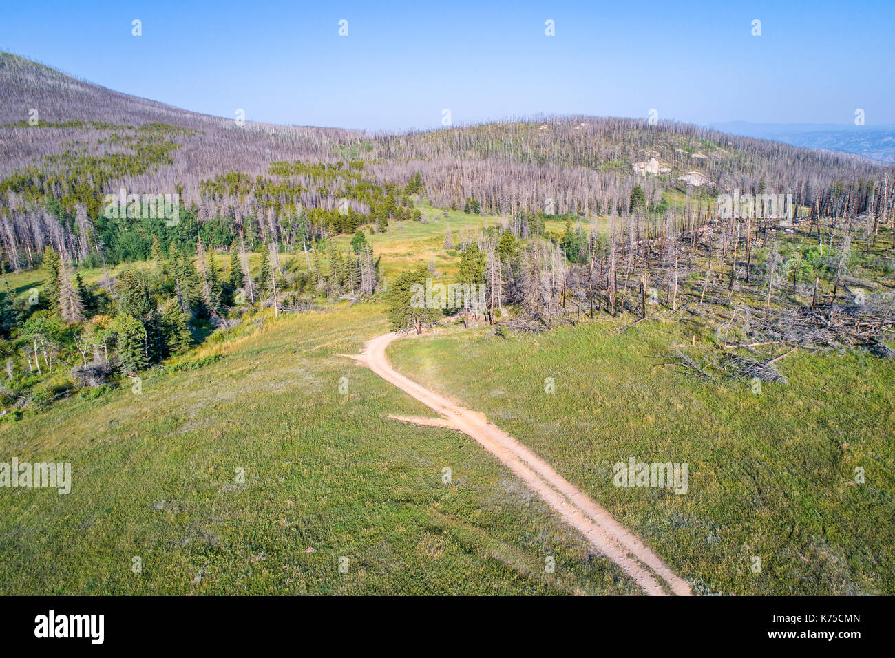 Aerial view of Old Flowers Road (Roosevelt National Forest near Fort